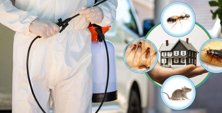 İyidere Böcek İlaçlama