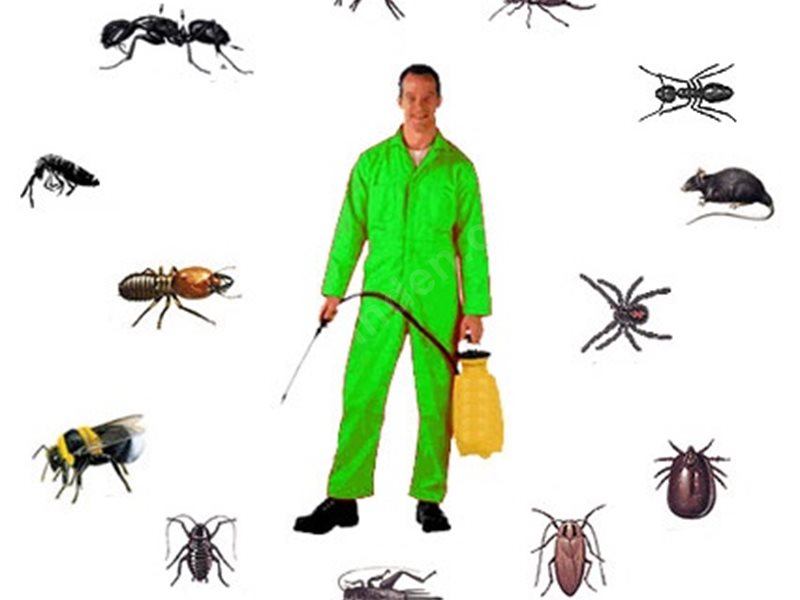 İyidere Böcek İlaçlama